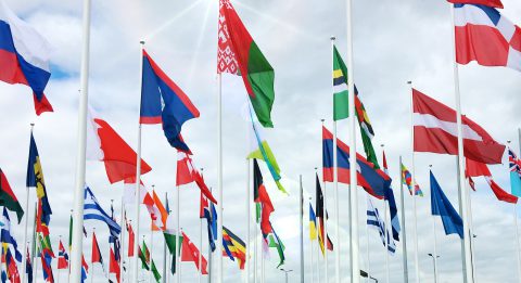 Newsletter: Die globale Unternehmens-Steuerreform der OECD