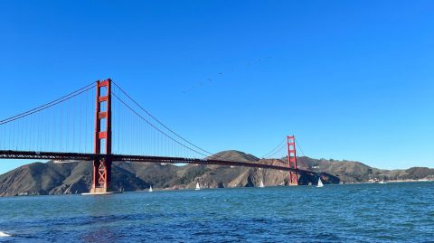 Love & Research in California